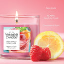 Yankee Candle Small Tumbler Scented Single Wick Jar Candle, Iced Berry Lemonade, 4.3 Ounce (Pack of 2)
