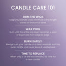 Yankee Candle Signature Small Tumbler Candle, Moonlit Woods, 4.3 Ounces (Pack of 2)