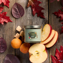 Yankee Candle Signature Small Tumbler Candle, Enchanted Orchard, 4.3 Ounces (Pack of 4)