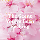 Yankee Candle Signature Small Tumbler Candle, Enchanting Cherry Blossoms, 4.3 Ounces (Pack of 2)