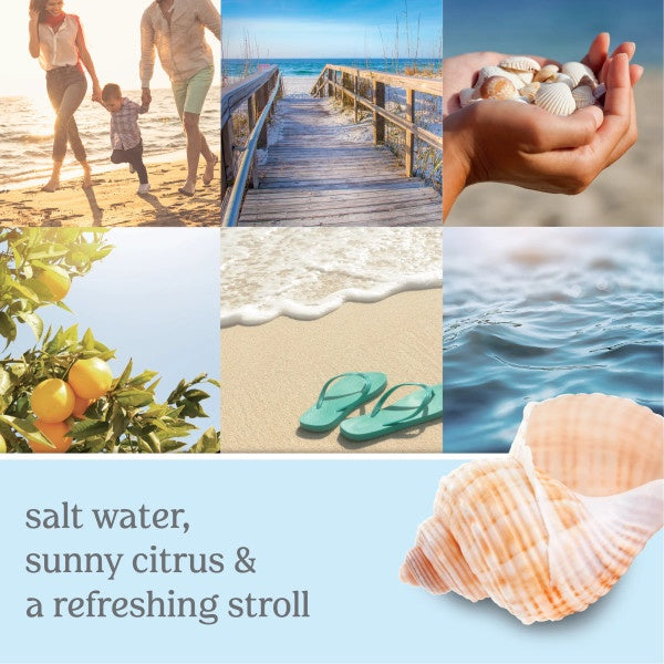 Yankee Candle Scent Plug Refill, Beach Walk (Pack of 4)