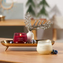 Yankee Candle Studio Candle with Essential Oils, White Spruce & Grapefruit, 10 Ounce (Pack of 2)