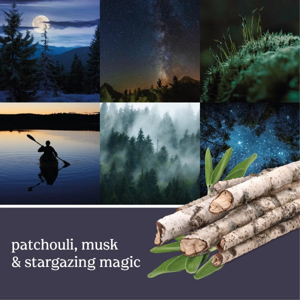Yankee Candle Scent Plug Refill, Midsummer Night (Pack of 4)