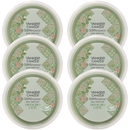 Yankee Candle Pistachio Latte Hello Italy Scenterpiece Easy MeltCup (Pack of 6)