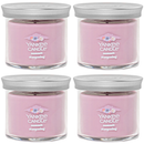 Yankee Candle Small Tumbler Scented Single Wick Jar Candle, Summit Stargazing, 4.3 Ounce (Pack of 4)