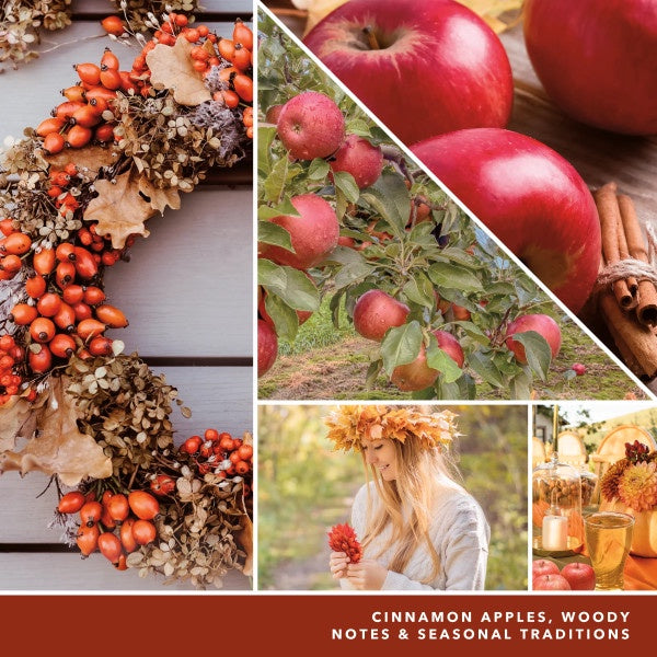 Yankee Candle Scent Plug Refill, Autumn Wreath (Pack of 4)