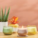 Yankee Candle Studio Candle with Essential Oils, Sage & Citrus, 10 Ounce (Pack of 2)