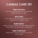 Yankee Candle Large Tumbler Scented Candle, Ciderhouse, 20 oz