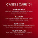 Yankee Candle Large Tumbler Scented Candle, Macintosh, 20 oz