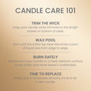 Yankee Candle Large Tumbler Scented Candle, Santa's Cookies, 20 oz