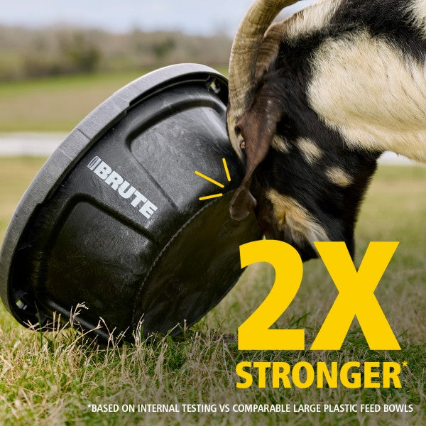 BRUTE Mutli-Purpose Feed Container, 6 Gallon, Pack of 3