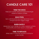 Yankee Candle Large Tumbler Scented Candle, Cherries on Snow, 20 oz