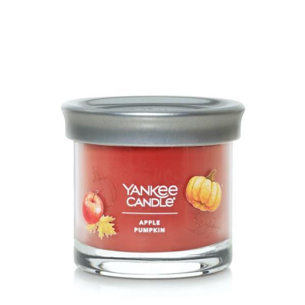 Yankee Candle Small Tumbler Scented Single Wick Jar Candle, Apple Pumpkin, Over 20 Hours of Burn Time, 4.3 Ounce (Pack of 4)