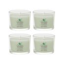 Yankee Candle Signature Votive Mini Candle Jar, Cucumber Mint Cooler Scent, Natural Soy Wax Blend Candle with Natural Fiber Wick, 1.3 OZ Glass Jar (Pack of 4)
