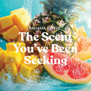 Yankee Candle Large Tumbler Scented Candle, Bahama Breeze, 20 oz