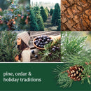 Yankee Candle Scented Journey Paper Car Jar, Balsam & Cedar , Clean Cotton ,Coconut Beach ,Iced Berry Lemonade ,Macintosh ,Midsummer Night ,Ocean Air ,Pink Sands ,Sage & Citrus & Spiced Pumpkin Variety Pack