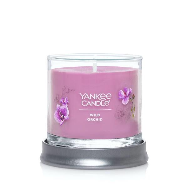 Yankee Candle Small Tumbler Scented Single Wick Jar Candle, Wild Orchid, Over 20 Hours of Burn Time, 4.3 Ounce (Pack of 4)