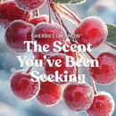 Yankee Candle Large Tumbler Scented Candle, Cherries on Snow, 20 oz