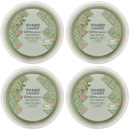 Yankee Candle Pistachio Latte Hello Italy Scenter piece Easy Melt Cup (Pack of 4)