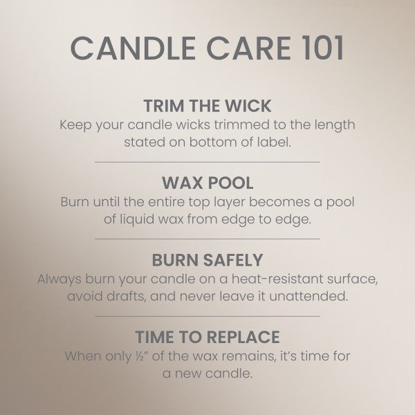Yankee Candle Large Tumbler Scented Candle, Amber & Sandalwood, 20 oz