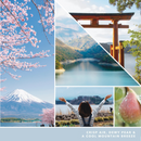 Yankee Candle Signature Votive Mini Candle Jar, Majestic Mt. Fuji Scent, Natural Soy Wax Blend Candle with Natural Fiber Wick, 1.3 OZ Glass Jar (Pack of 12)