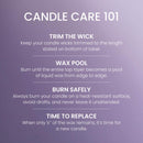 Yankee Candle Minis Votive Jar, Moonlit Woods, 1.3 OZ (Pack of 4)