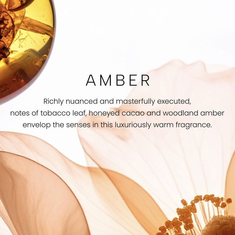 Yankee Candle Premium Small Scented Jar Candle with up to 60 Hour Burn Time, Amber, 7 OZ