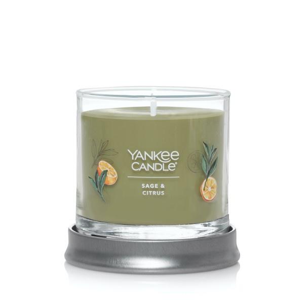 Yankee Candle Small Tumbler Scented Single Wick Jar Candle, Sage & Citrus, Over 20 Hours of Burn Time, 4.3 Ounce (Pack of 4)