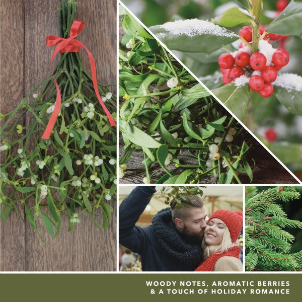 Yankee Candle Mistletoe Scenterpiece Easy MeltCup (Pack of 6)