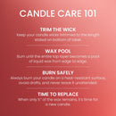 Yankee Candle Large Tumbler Scented Candle, White Strawberry Bellini, 20 oz