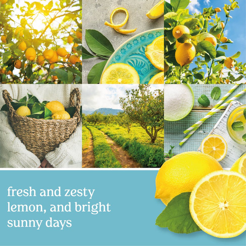 Yankee Candle Sicilian Lemon Scenterpiece Easy MeltCup (Pack of 6)