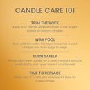 Yankee Candle Medium Pillar Scented Candle, Autumn Wreath, 14.25 oz (2-Pack)