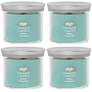 Yankee Candle Small Tumbler Scented Single Wick Jar Candle, Holiday Winterfest, 4.3 Ounce (Pack of 4)