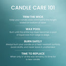 Yankee Candle Large Tumbler Scented Candle, Tree Farm Festival, 20 oz