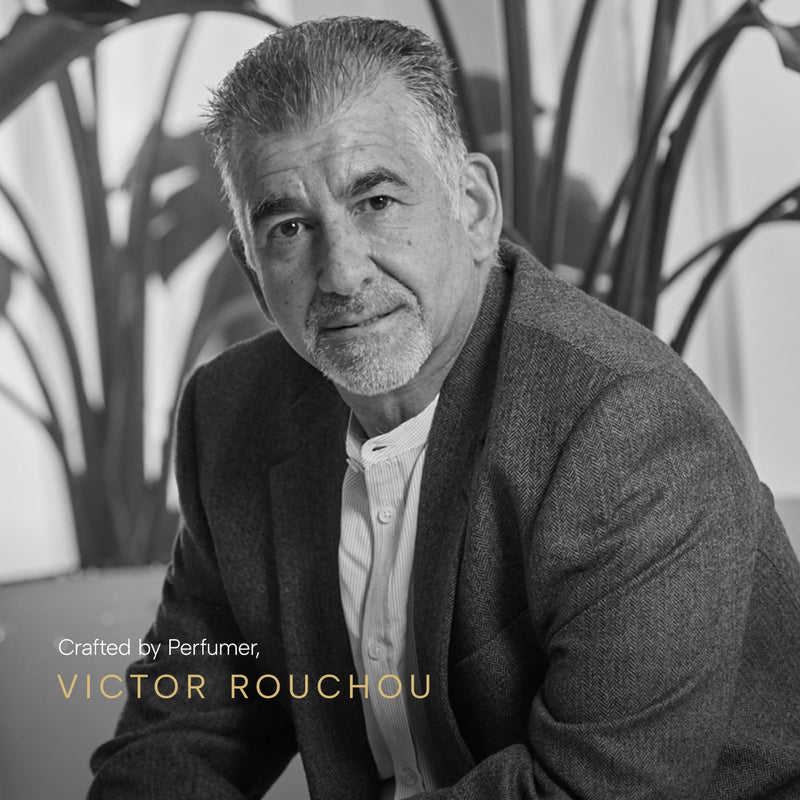 Yankee Candle Premium Medium Scented Jar Candle with up to 60 Hour Burn Time, Dolce, 12 OZ