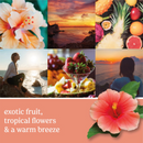 Yankee Candle Signature Votive Mini Candle Jar, Cliffside Sunrise Scent, Natural Soy Wax Blend Candle with Natural Fiber Wick, 1.3 OZ Glass Jar (Pack of 4)