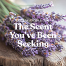 Yankee Candle Medium Pillar Scented Candle, Dried Lavender & Oak, 14.25 oz (2-Pack)