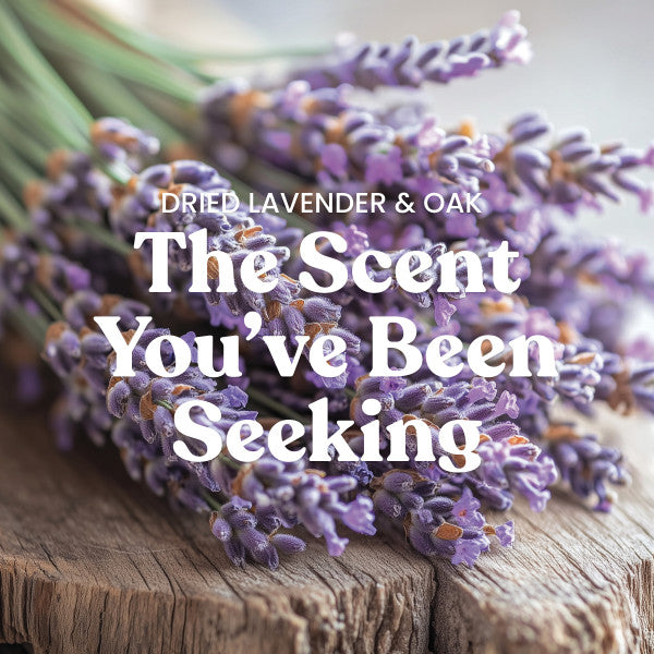 Yankee Candle Medium Pillar Scented Candle, Dried Lavender & Oak, 14.25 oz (2-Pack)