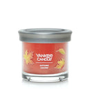 Yankee Candle Small Tumbler Scented Single Wick Jar Candle, Autumn Leaves, Over 20 Hours of Burn Time, 4.3 Ounce (Pack of 2)