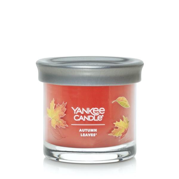 Yankee Candle Small Tumbler Scented Single Wick Jar Candle, Autumn Leaves, Over 20 Hours of Burn Time, 4.3 Ounce (Pack of 4)