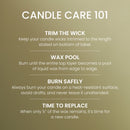 Yankee Candle Large Tumbler Scented Candle, Mistletoe, 20 oz