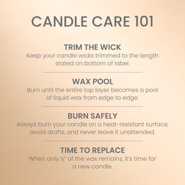 Yankee Candle Medium Pillar Scented Candle, Vanilla Creme Brulee, 14.25 oz (2-Pack)