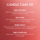 Yankee Candle Medium Pillar Scented Candle, White Strawberry Bellini, 14.25 oz, 2-Pack