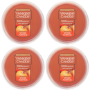 Yankee Candle Spiced Pumpkin Scenterpiece Easy MeltCup (Pack of 4)