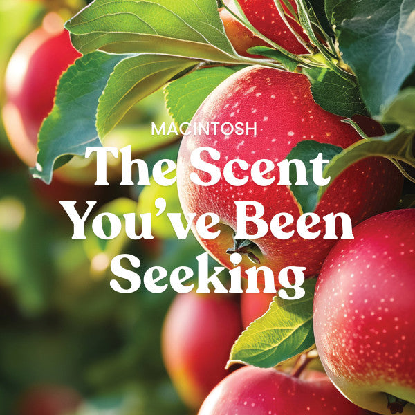 Yankee Candle Medium Pillar Scented Candle, Macintosh, 14.25 oz (2-Pack)