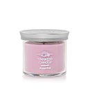 Yankee Candle Small Tumbler Scented Single Wick Jar Candle, Summit Stargazing, 4.3 Ounce (Pack of 2)