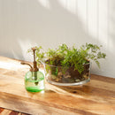 WoodWick Scented Ellipse Candle, Crackles as it Burns, Pumpkin Praline, 16oz