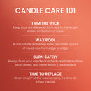 Yankee Candle Medium Pillar Scented Candle, Spiced Pumpkin, 14.25 oz, 2-Pack