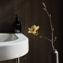 Homecourt The Home Essentials Set (Cece) Variety Pack