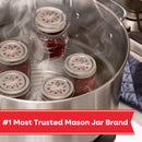 Ball Limited Edition Americana Mason Jar Lids, Regular Mouth Lids for Mason Jars, 12-Count, Pack of 4 (48 Lids Total)